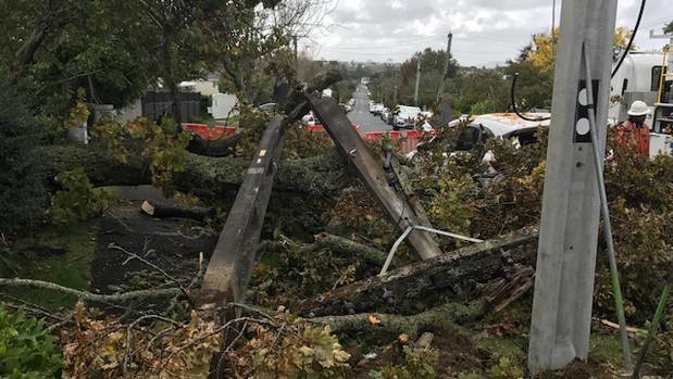 Recent severe storms have highlighted the deteriorating state of the private property infrastructure when trees have toppled failing poles and lines. (Photo / NZME)