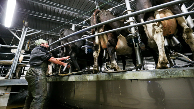 Federated Farmers says some farmers feel unrepresented on the new Primary Sector Council. (Photo: Getty Images)