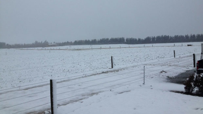 Snow has been falling in Queenstown this morning. (Photo: Supplied)