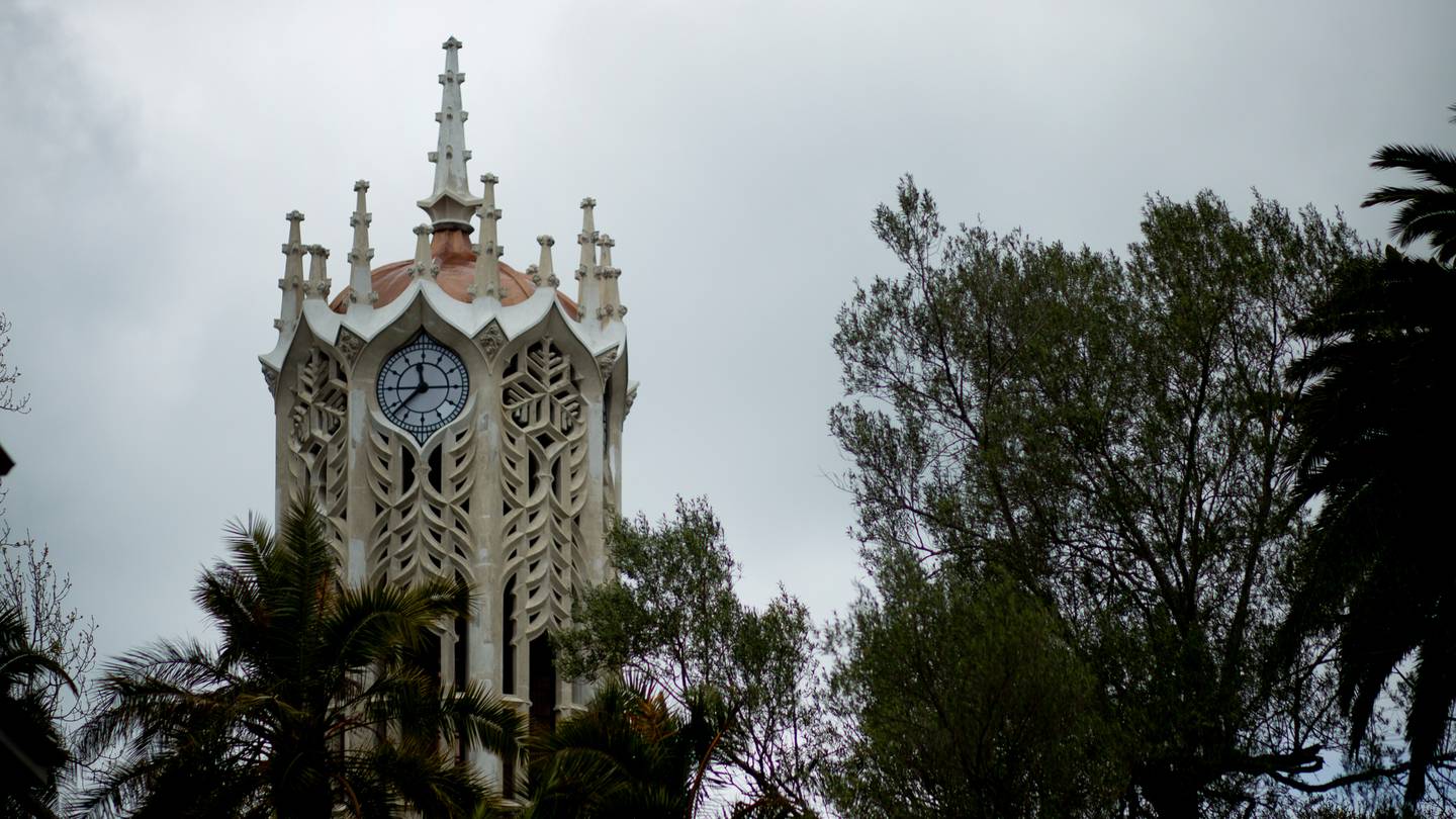 Closing a glaring gender pay gap in our universities won't just be a matter of waiting, finds a new study. Photo / Dean Purcell