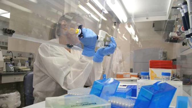 A lab technician extracts DNA. (Photo / AP file)