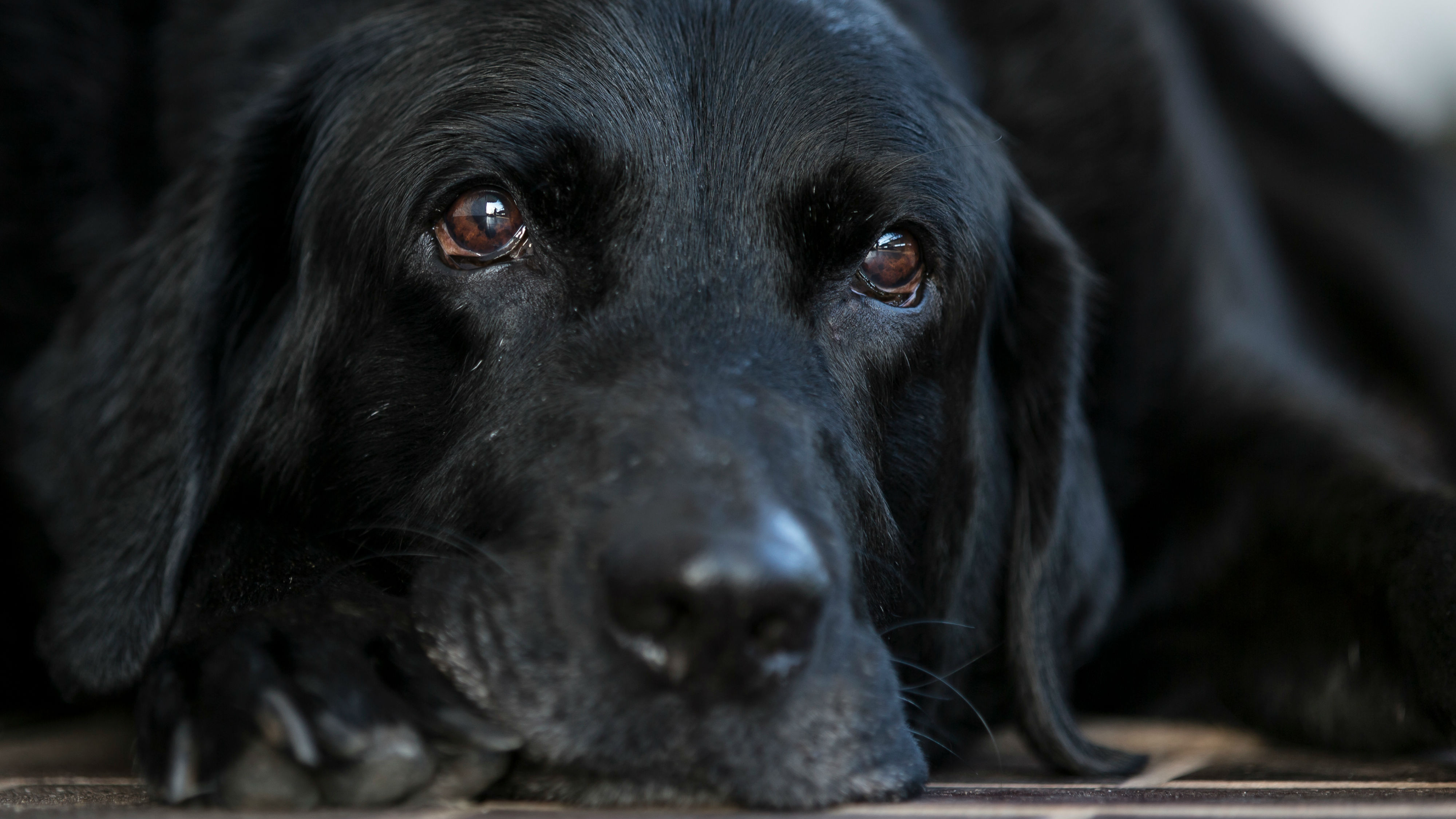 (STOCK photo \ Getty Images)