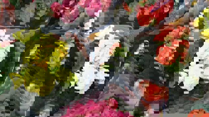 Photo / 23RF