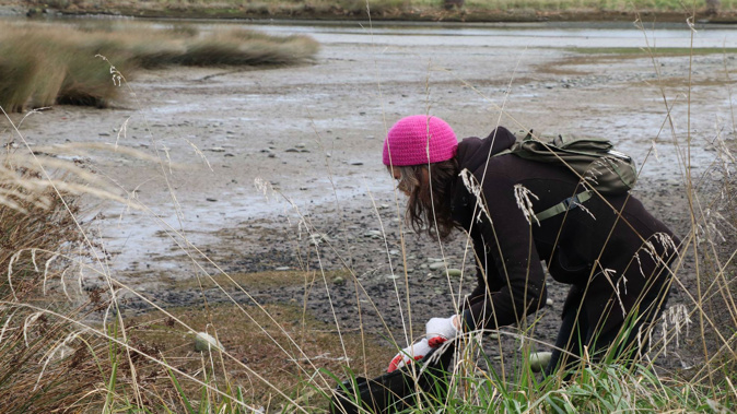 One of the volunteers hard at work during the 'Mother of all Cleanups' (Photo / Avn-Otakaro Network)