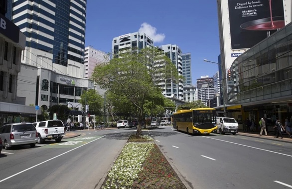 Wellington city council is revisiting a proposal to lower the speed limit in the CBD from 50 to 30km per hour.