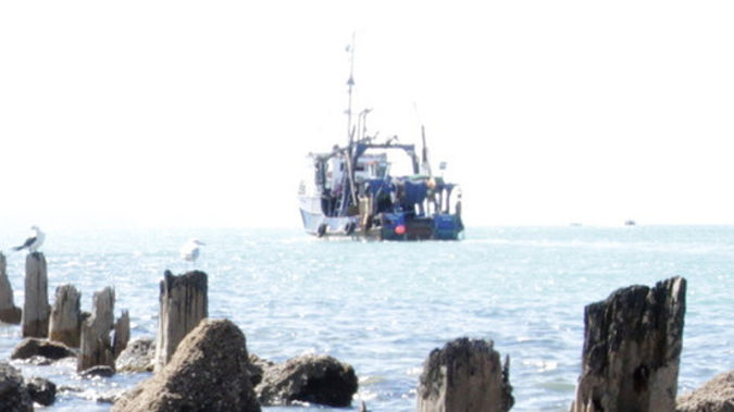 Fisheries Minister Stuart Nash says he cannot guarantee that unlawful fishing is still taking place under his Government. (Photo / Supplied)