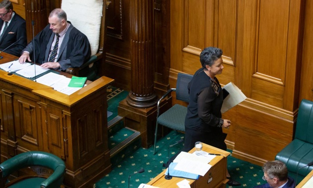 Paula Bennett left the House this week after remonstrating with Speaker, Trevor Mallard. (Photo: NZ Herald)