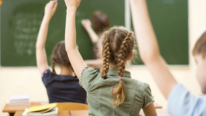 The PPTA says plans to shake-up NCEA are good (Image / File)