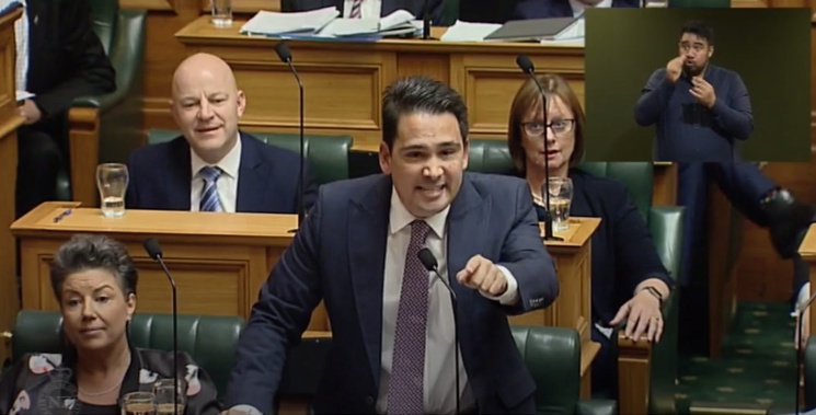 Bad news for Simon Bridges in a new poll (Image / Parliament TV)