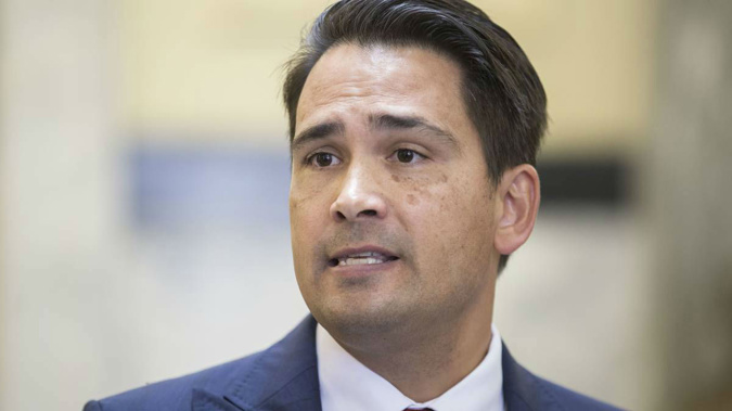 National Party leader Simon Bridges says Judith Collins is doing an outstanding job. (hoto / NZME)