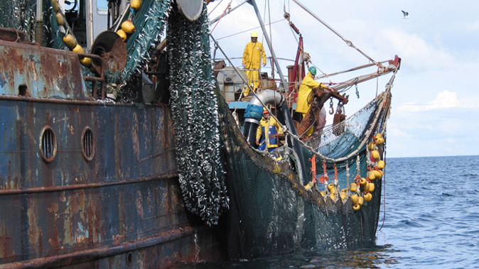 Another leaked report appears to shows the agency in charge knew about over-fishing. (Photo supplied)
