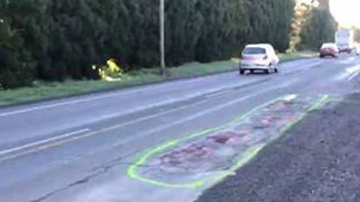 In order to draw attention to a number of potholes on Kahikatea Flat Road, Geoff Upson drew large green penises around the potholes. Source: Geoff Upson