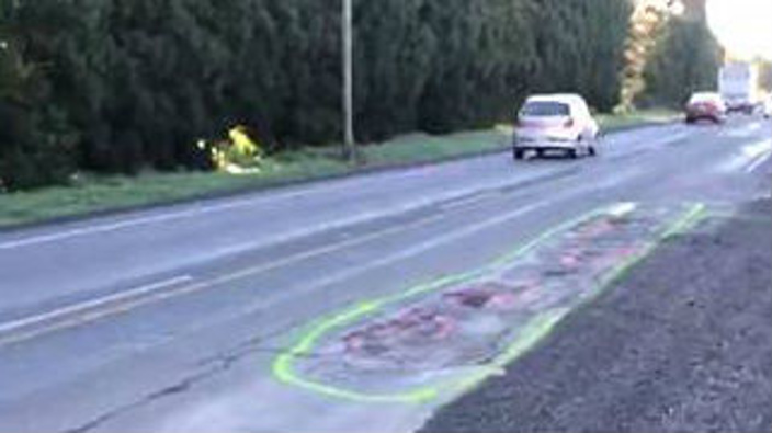 In order to draw attention to a number of potholes on Kahikatea Flat Road, Geoff Upson drew large green penises around the potholes. Source: Geoff Upson