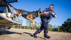 Police dog Kosmo and handler Regan Turner. (Photo / Supplied)