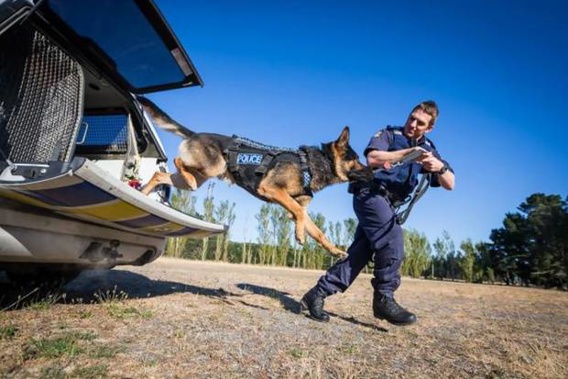 Canterbury Police dog Kosmo and his handler Constable Regan Turner feature in the current season of Dog Squad. Photo / Supplied