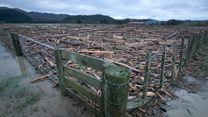 Forestry waste covers once-productive farmland at Tolaga Bay. (Photo / Alan Gibson)