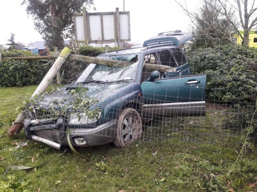 A 30-year-old man, who has been convicted of manslaughter, crashed into a dog park on Saturday after allegedly travelling at 180 km/h along State Highway 1. (Photo / Star.kiwi)