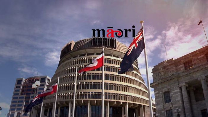 Rawiri Waititi says Māori will not stand for racist policies. Photo / Whakaata Māori