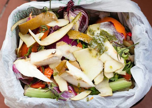 The council plans to charge all households $67 a year for food scrap collections. (Photo / 123rf)