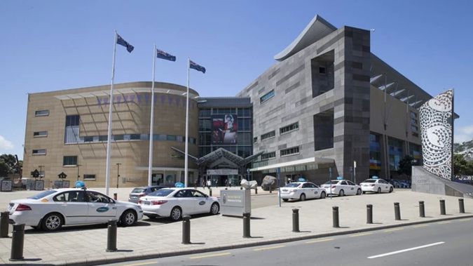Te Papa in Wellington. (Photo / Herald)