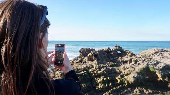 New Zealand's natural beauty is a drawcard for tourists. Photo / Grant Bradley