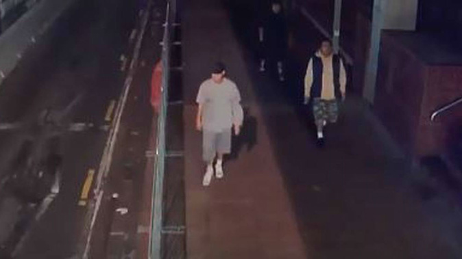 The two victims had been walking along Queen St when about eight men (pictured) approached them. (Photo / Police)