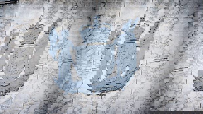 In her victim impact statement the woman said she no longer trusts men as a result of the brutal assault. (Photo / Nick Reed)