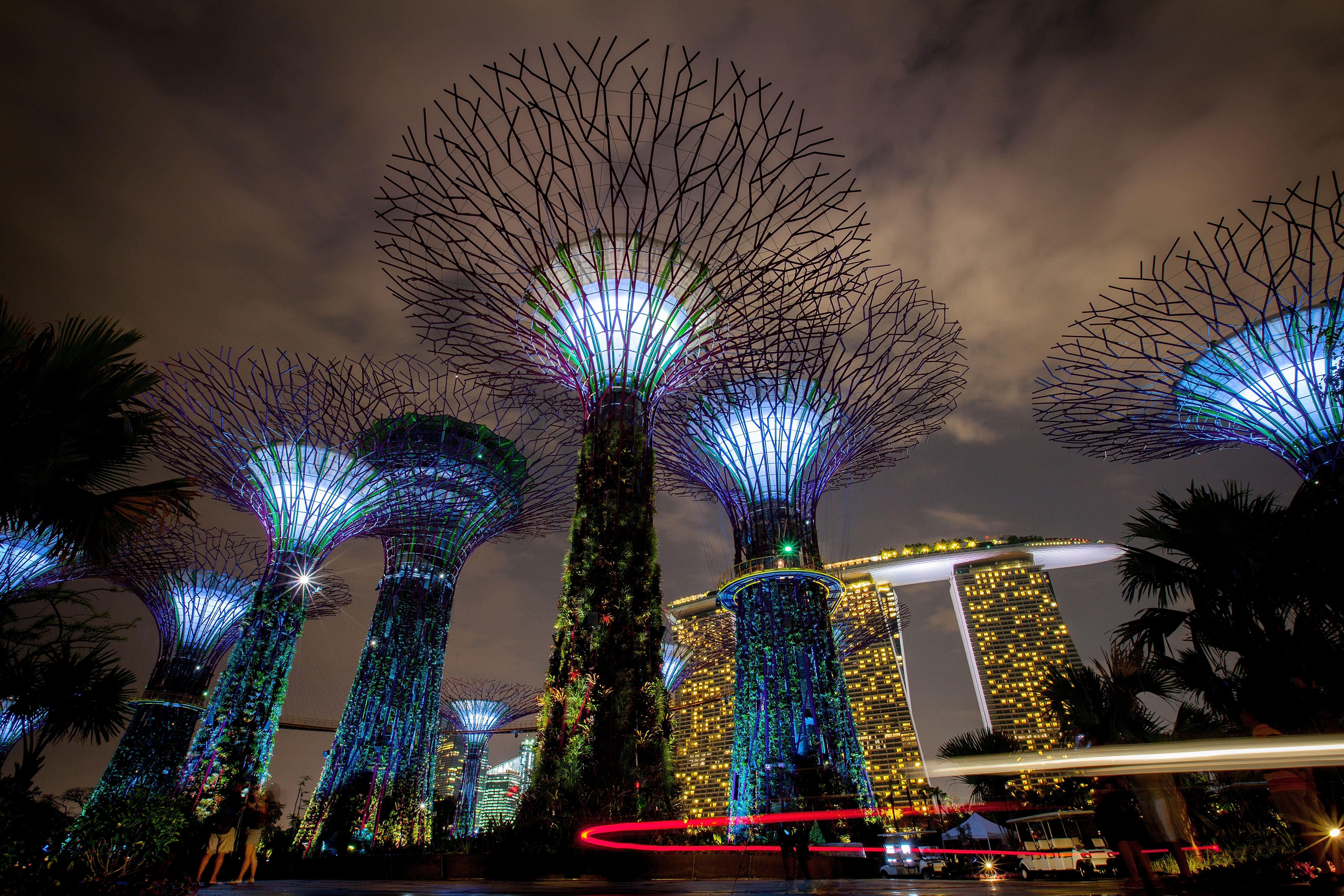Gardens by the Bay in Singapore. (Photo / Getty)