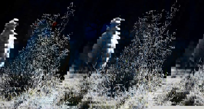 The rain will fade, but the cold temperatures will linger. (Photo / NZ Herald)