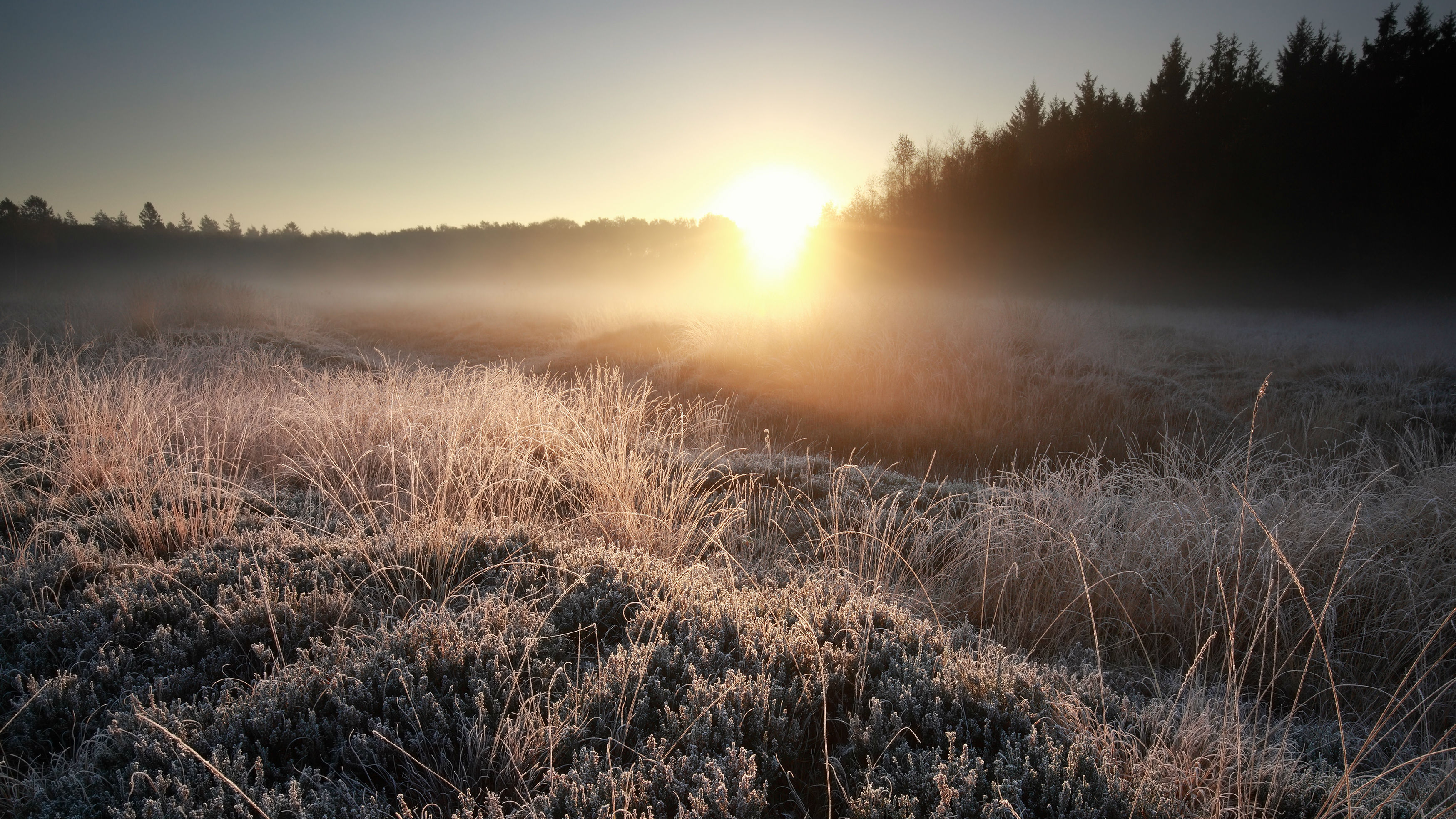 Kiwis woke up to a thick frost both underfoot and coated over their vehicles (Photo \ Getty Images)