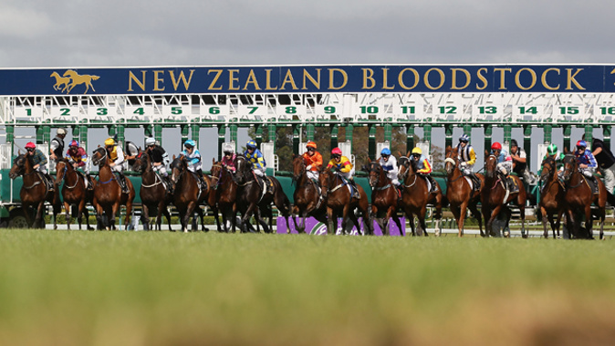 Parents, too, may need to consider the risk if the whole family enjoys picking horses for any sort of reward. Photo/ Getty