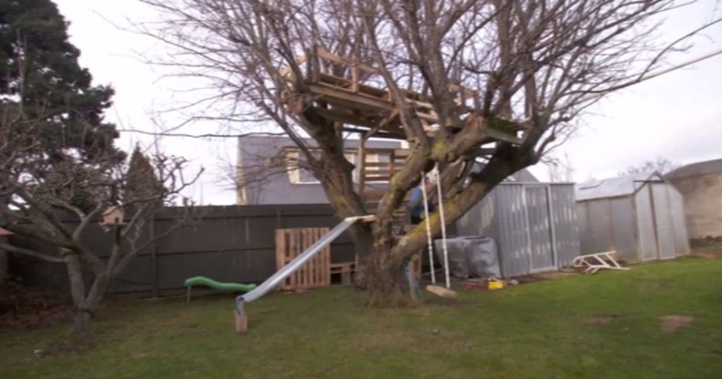 Janice Norman-Oke says she is unable to cut the treehouse down at the moment. (Photo / TVNZ)