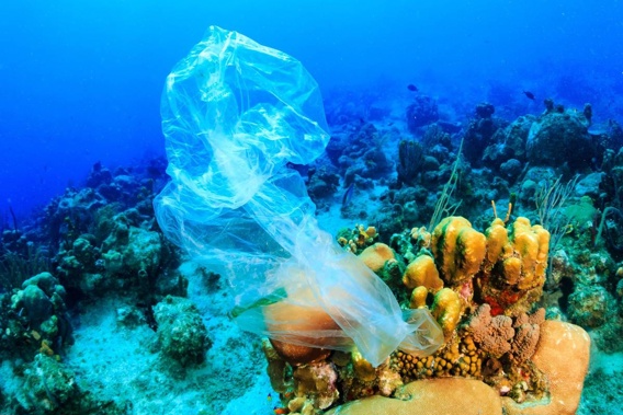 Banning the bags doesn't really achieve anything when there is so much other plastic in the world. (Photo / Getty)
