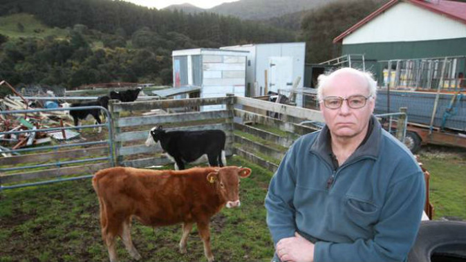 Pongaroa farmer David Vitsky upset over the castration of his bulls. (Photo / Duncan Brown)
