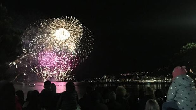 Wellington’s whale-delayed fireworks went off without a hitch. Photo / Frances Cook