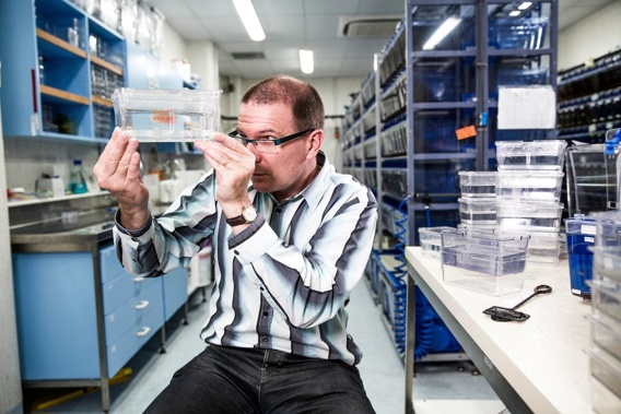Professor Robertson, a world-renowned paediatric geneticist based at the University of Otago, has been helping unravel rare genetic disorders affecting countless families. (Photo / Supplied​)