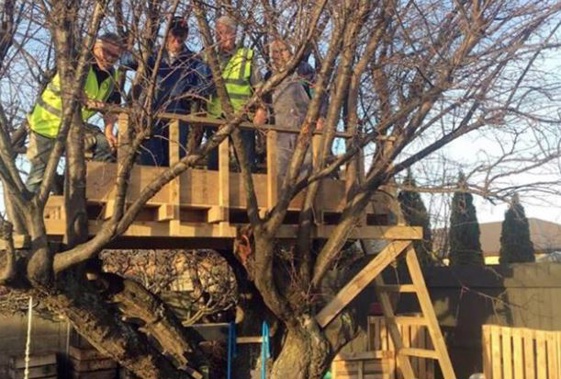 Rotary Club of Mosgiel members try out a Mosgiel treehouse they built that complies with the Building Act, after an earlier version was threatened with demolition. (Photo / Otago Daily Times)