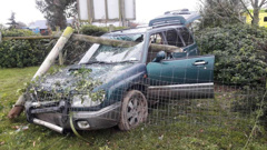 The aftermath of the high speed crash on June 2 when this vehicle went through a dog park fence. (Photo / Star.kiwi)