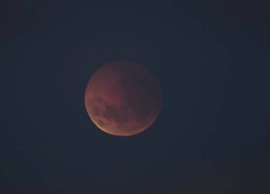 The blood moon as it appeared in Dunedin this morning. (Photo / Stephen Jaquiery)