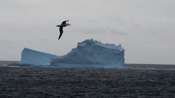 The Southern Ocean sucks up 40 per cent of the CO2 that humans send in to the atmosphere - but for how much longer? (Photo / File)