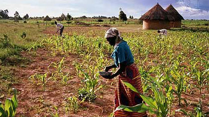Expat on Zimbabwe: 'The beautiful farms have gone, it is a wasteland'