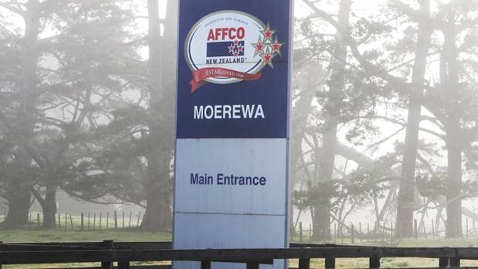 Affco says the safety and wellbeing of its staff is paramount, including at it's Moerewa plant where a man was seriously injured in an explosion in the boiler room last month.