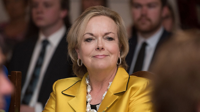 Judith Collins refused to back down after being called out over the story. (Photo / NZ Herald)