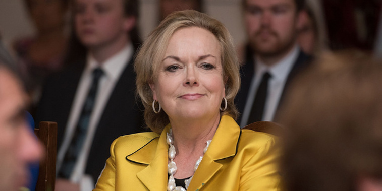 Judith Collins refused to back down after being called out over the story. (Photo / NZ Herald)