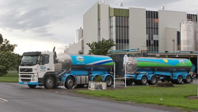 Fonterra went into a trading halt yesterday as it reviews its earnings forecasts. Photo / File
