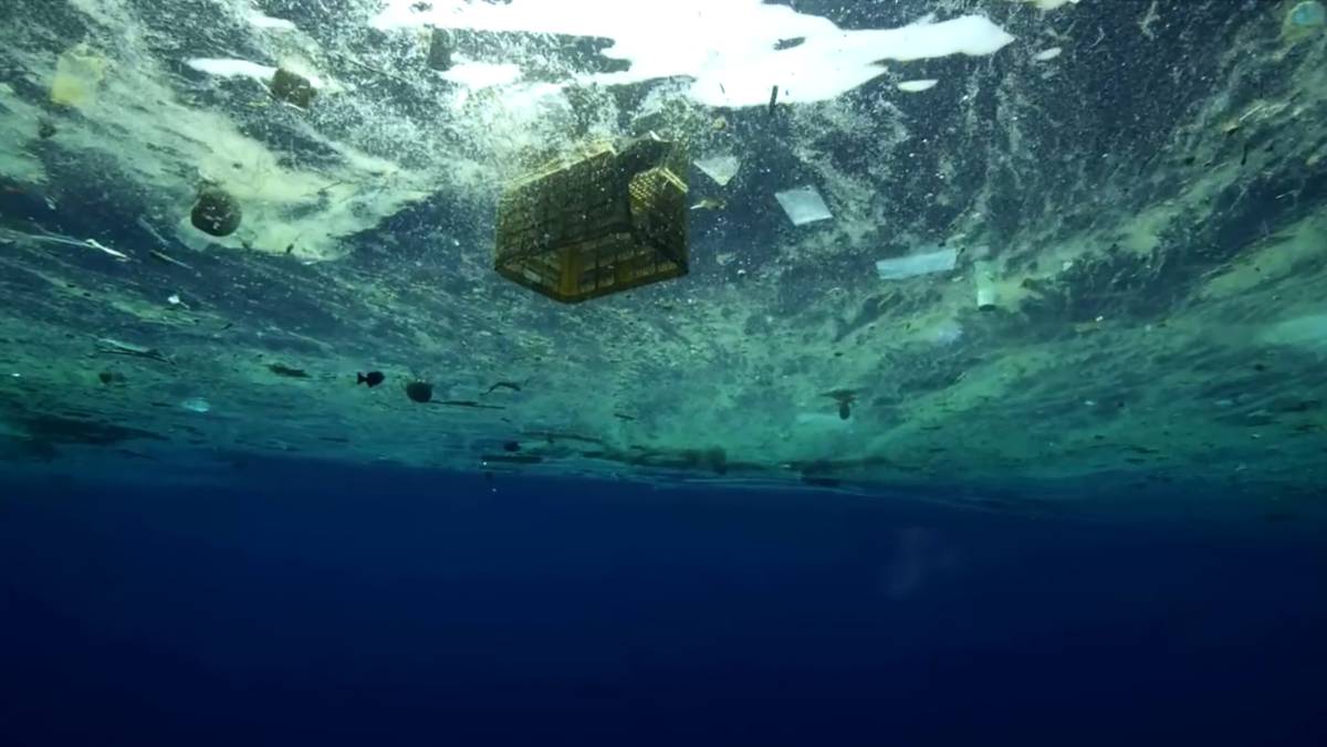 Asking people on the street about the banning of single-use plastic bags in a year's time.