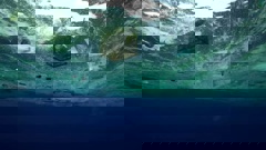 Asking people on the street about the banning of single-use plastic bags in a year's time.