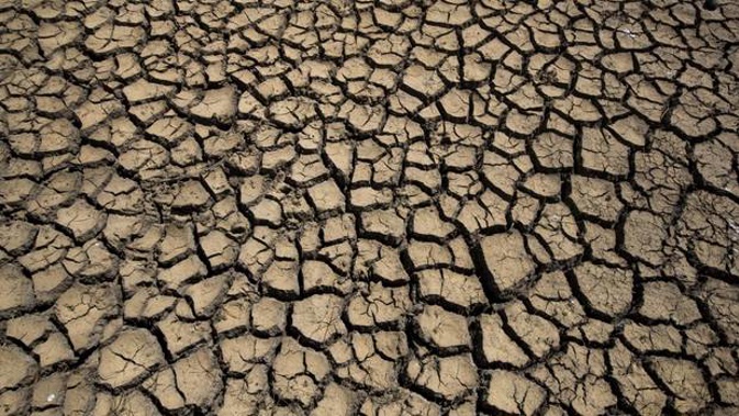 Another study has warned NZ's climate could revert to a tropical state seen 50 million years ago. Photo / File