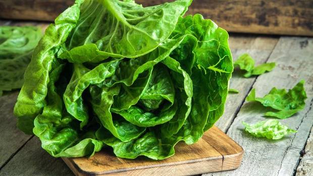 A crunchy head of lettuce cost consumers $5.42 in July. 