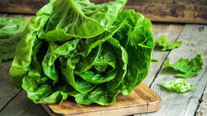 A crunchy head of lettuce cost consumers $5.42 in July. 